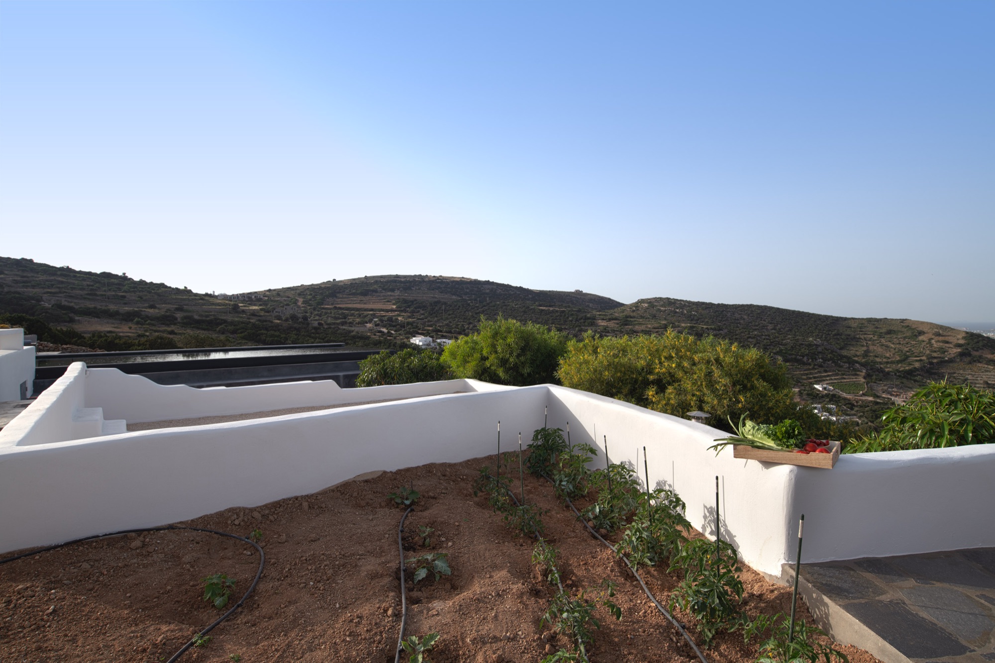 The herb garden